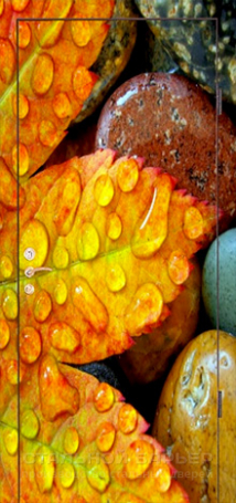 Дверь с фотопечатью №9